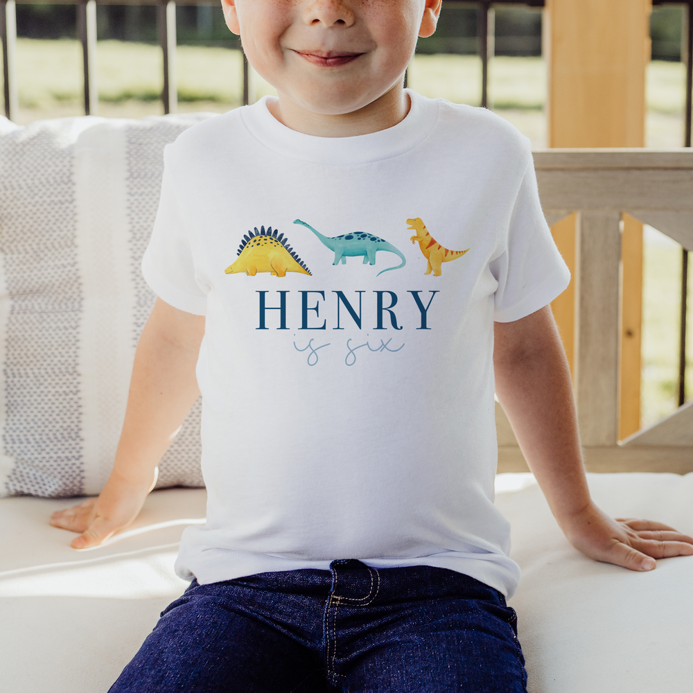 Personalised Dinosaur Birthday T-Shirt & Baby Vest