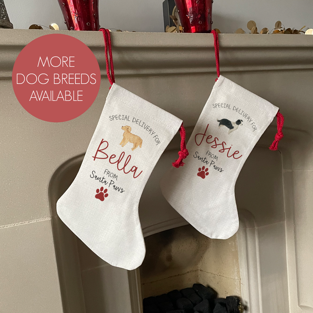 
                      
                        Personalised Dog Christmas Stocking
                      
                    